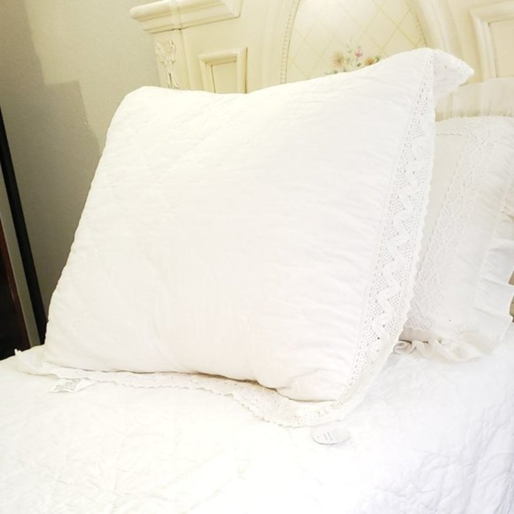 NWOT SIMPLY SHABBY CHIC RACHEL ASHWELL  PILLOW SHAM